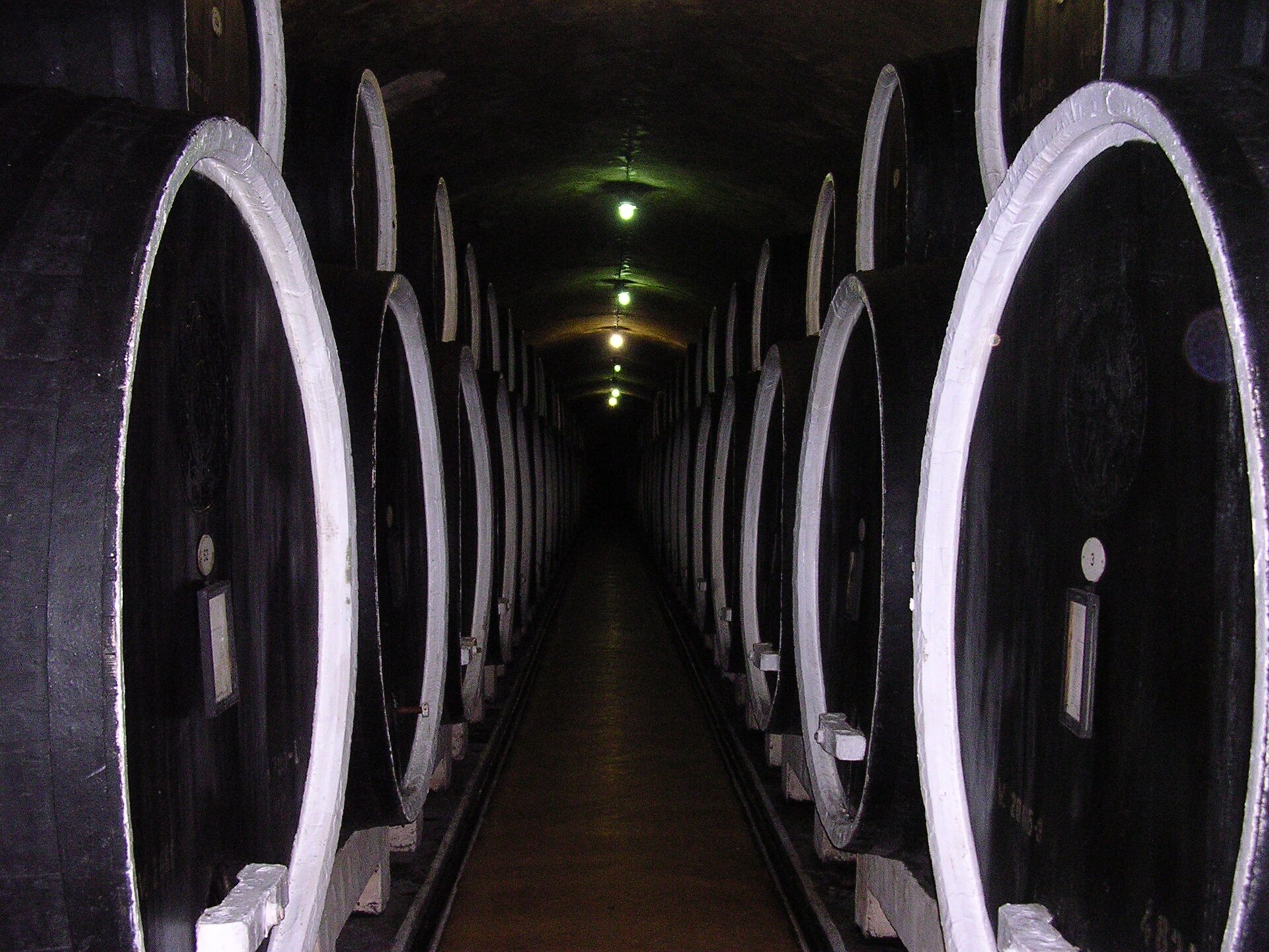 Weinkeller in Cotnari