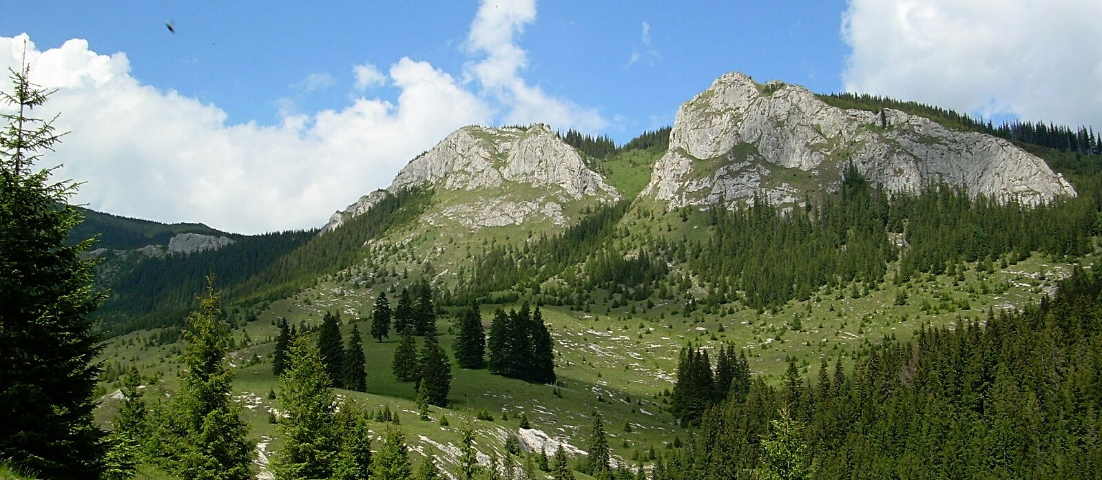 Pietrele Albe im Apuseni-Gebirge