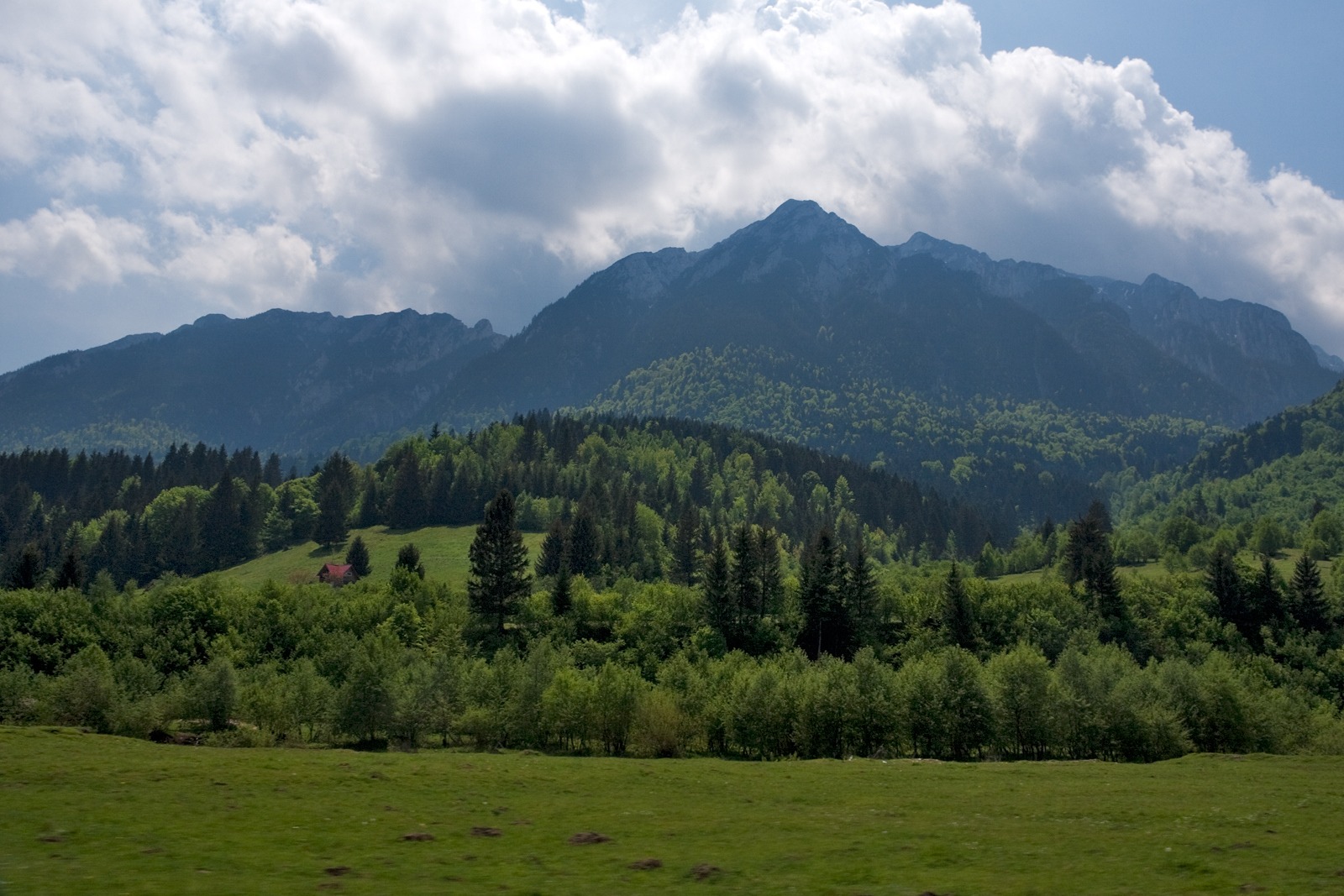 Kamm des Piatra-Craiului-Gebirges